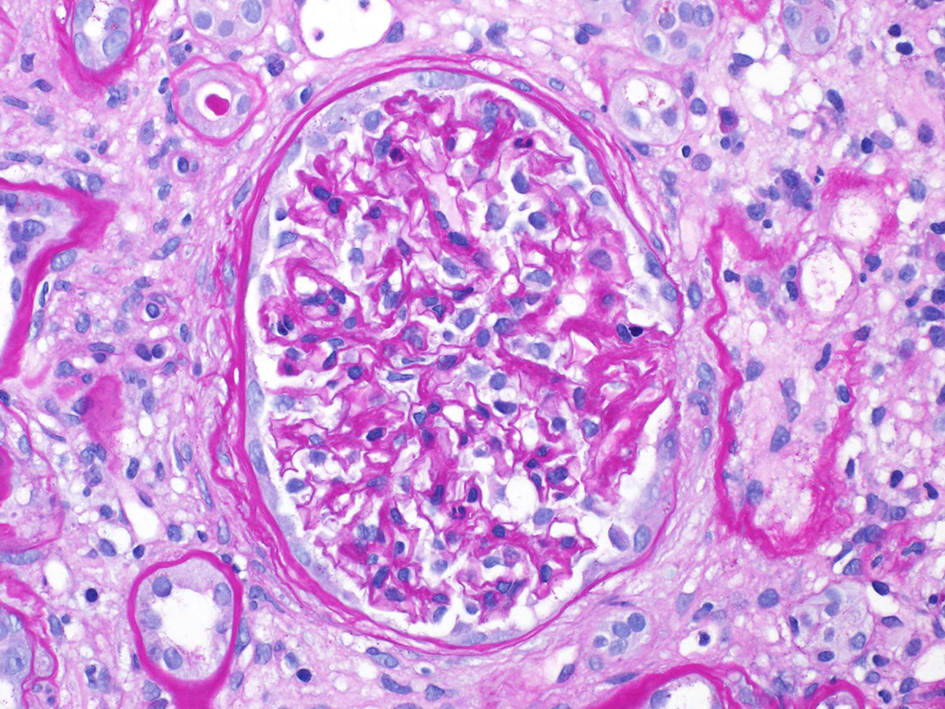 World Journal of Nephrology and Urology