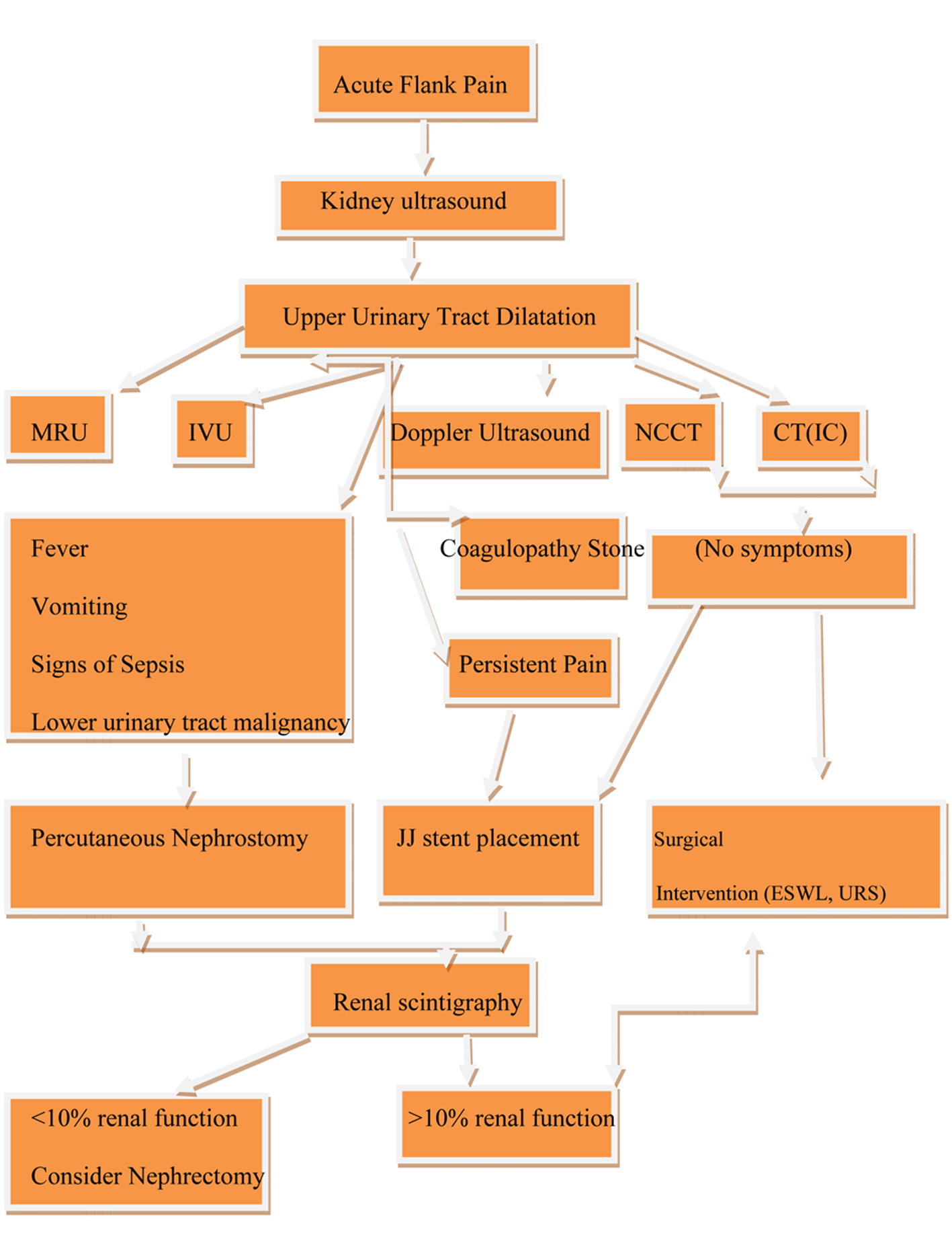 golden kon prostatitis)